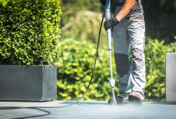 Best Driveway Pressure Washing  in Dowagiac, MI