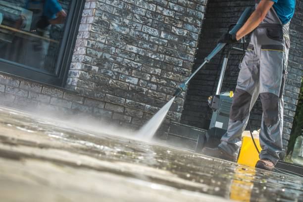 Best Spring Cleaning  in Dowagiac, MI