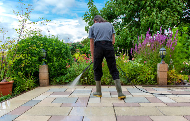 Best Patio and Deck Pressure Washing  in Dowagiac, MI
